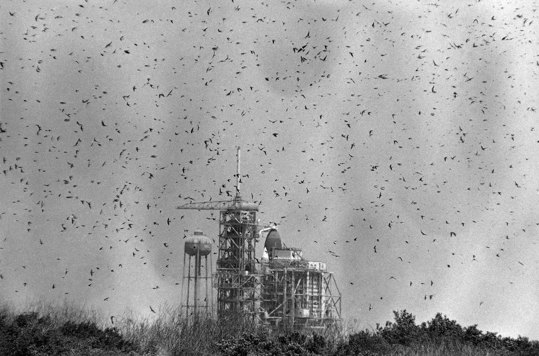 1984: SPACE SHUTTLE CHALLENGER